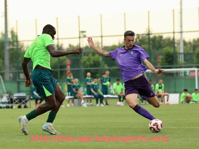 开云体育app下载-英超历史上最失败的德国籍球员是哪几位?